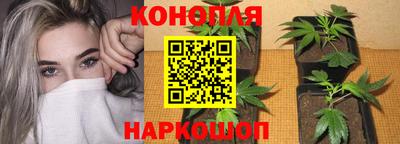 таблы Новодвинск
