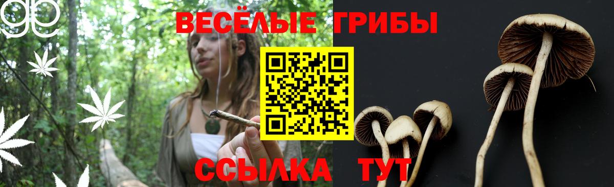 Татарск  Псилоцибиновые грибы мицелий  Вход с VPN  Галлюциногенные грибы мицелий 